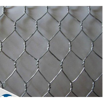 5/8 &quot;Hexagonal Wire Netting / Chiicken Wire Mesh